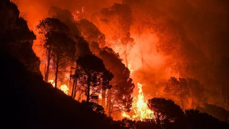 Il Parco Nazionale dell'Aspromonte avvolto dalle fiamme (agf)